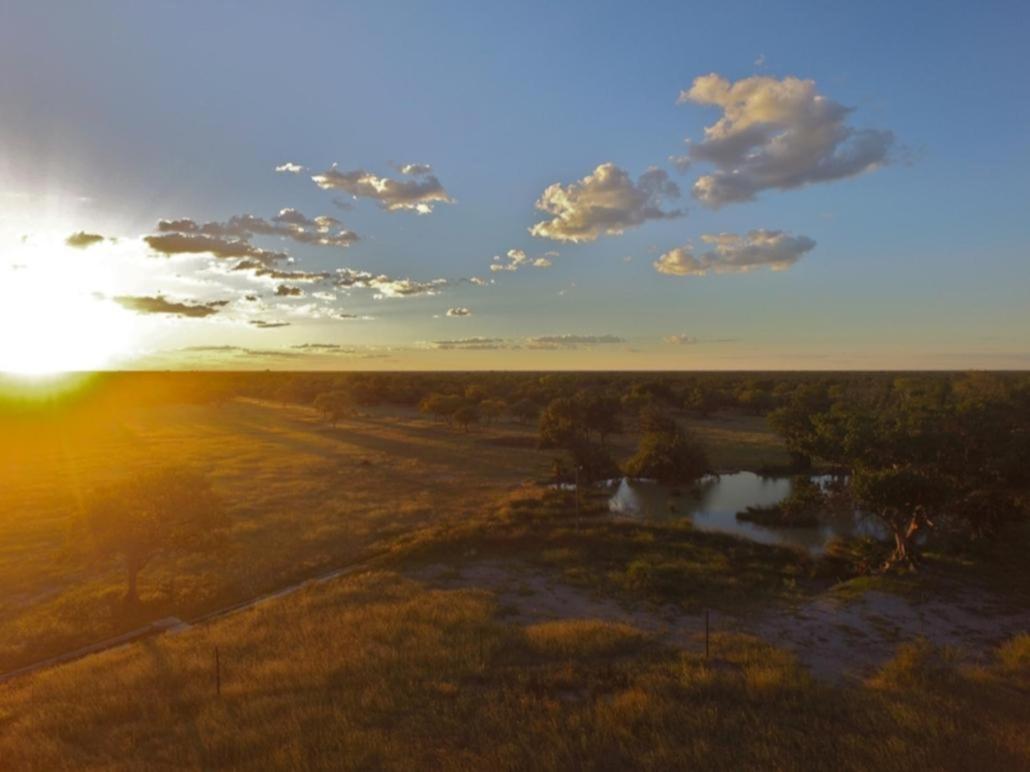La Rochelle Lodge Namibia ツメブ エクステリア 写真