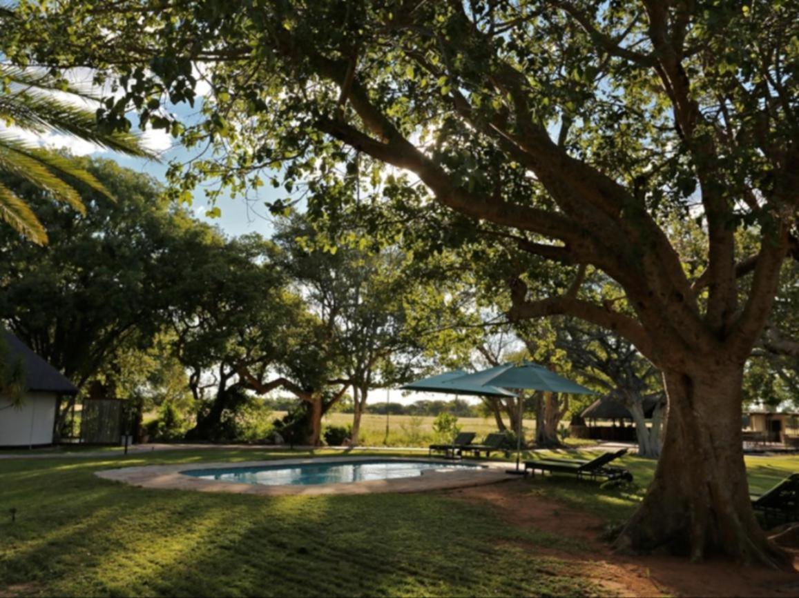 La Rochelle Lodge Namibia ツメブ エクステリア 写真